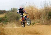 Bigou, terreur du 4 T
