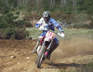 tiley
